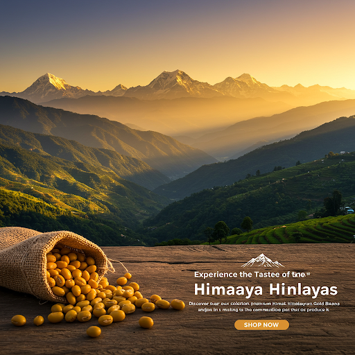 Experience the Taste of the Himalayas